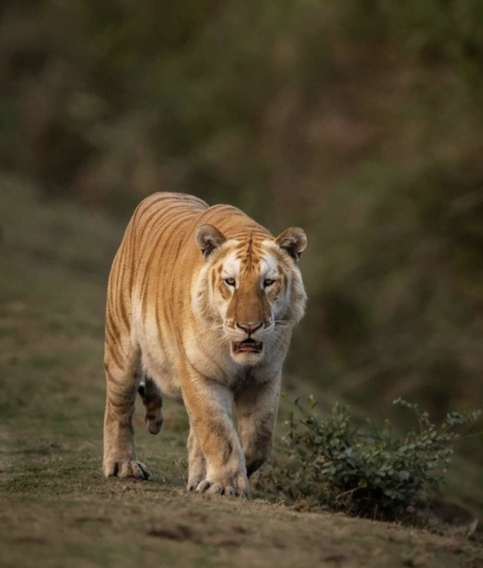 (Photo credit - Gaurav R.....from Coimbatore)  Small in (brackets) In pic that's all 6:08 pm (Photo credit - Gaurav R.....from Coimbatore) Small in (brackets) In pic that's all 6:08 pm