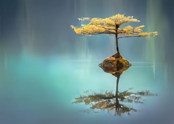 Image In an age characterized by relentless technological advancements and rapid urbanization, our connection with the natural world often takes a backseat in our lives.