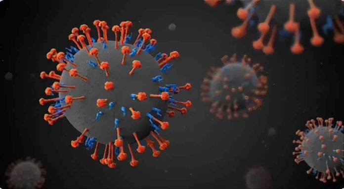 Image-compressed-11 The Nipah virus(NiV) first emerged in Malaysia and Singapore in 1998 as an outbreak of disease in pigs and people.